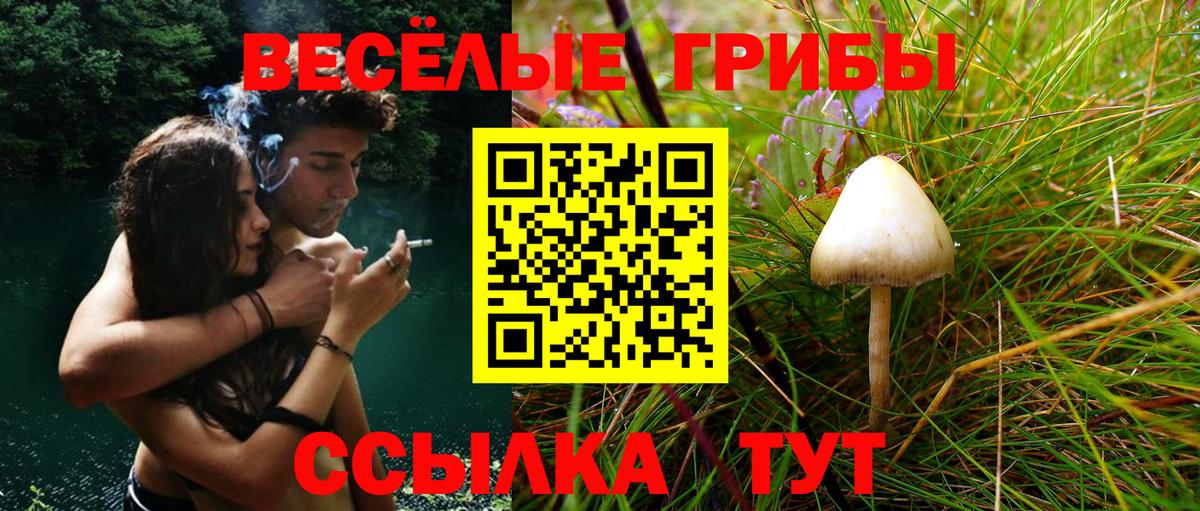 Галлюциногенные грибы мицелий  Вход с VPN  Галлюциногенные грибы мухоморы  Обнинск 